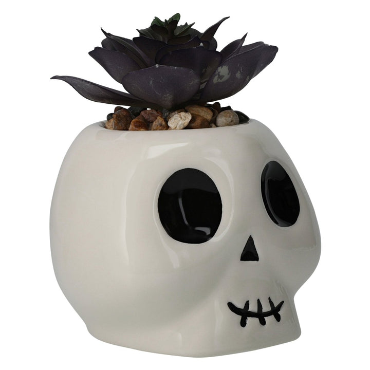 Zegsy halloween faux succulent 4.2in - UTLTY