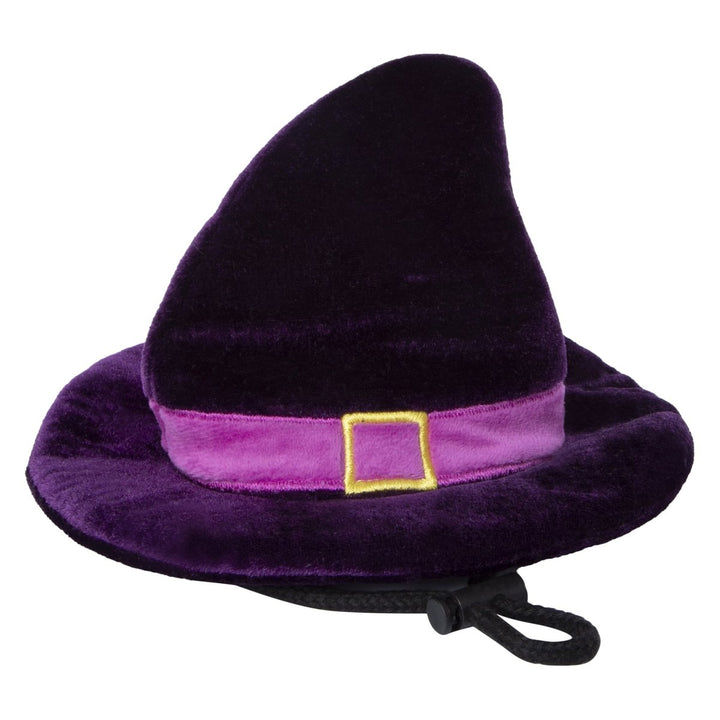 Zegsy pet halloween costume witch hat headband - UTLTY