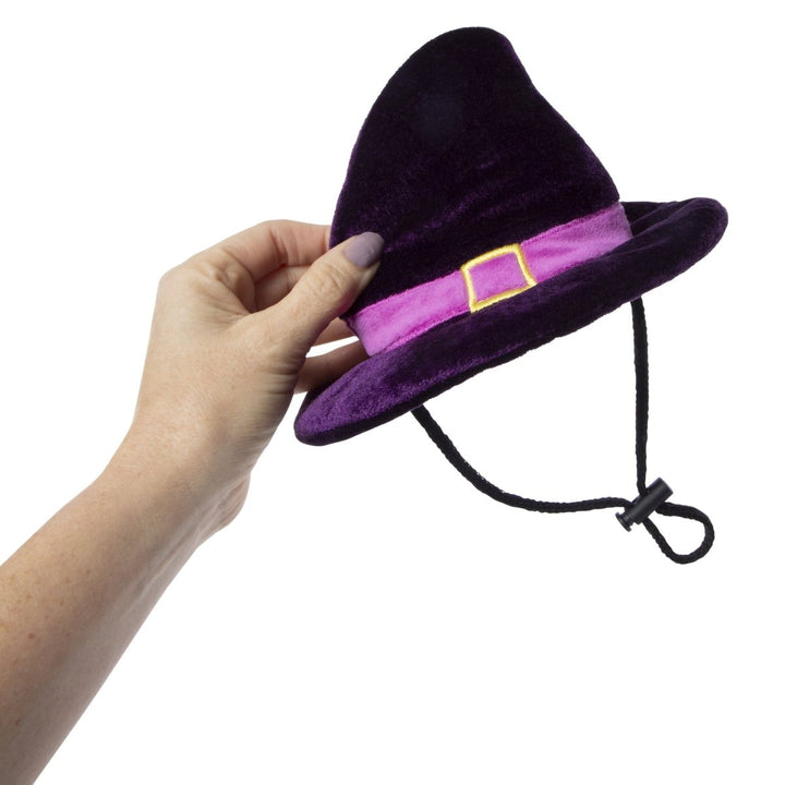 Zegsy pet halloween costume witch hat headband - UTLTY